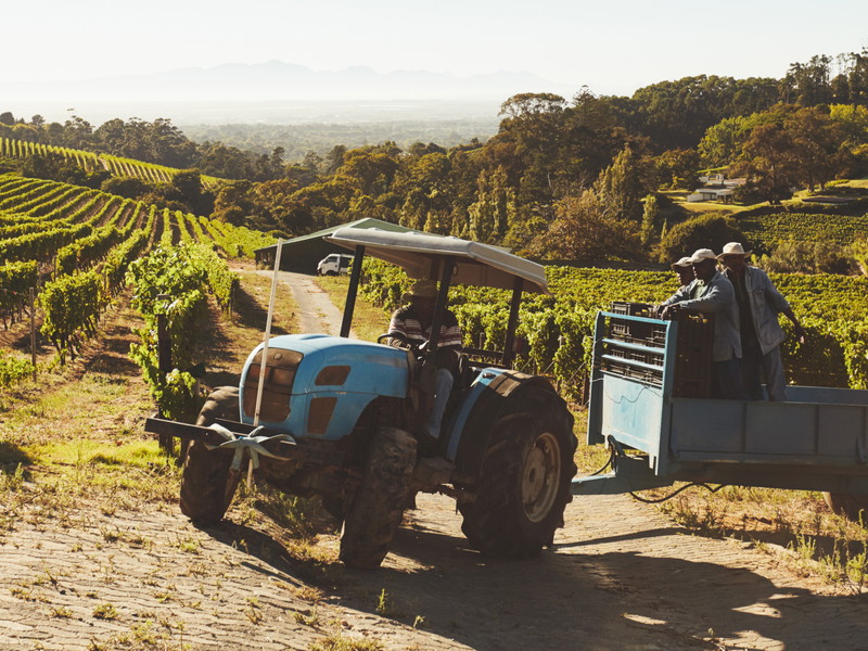 Wineries aren't immune from surging wages and input costs.