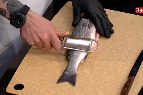 Mit einem Fischentschupper den Fisch von der Flosse aufwärts entschuppen.