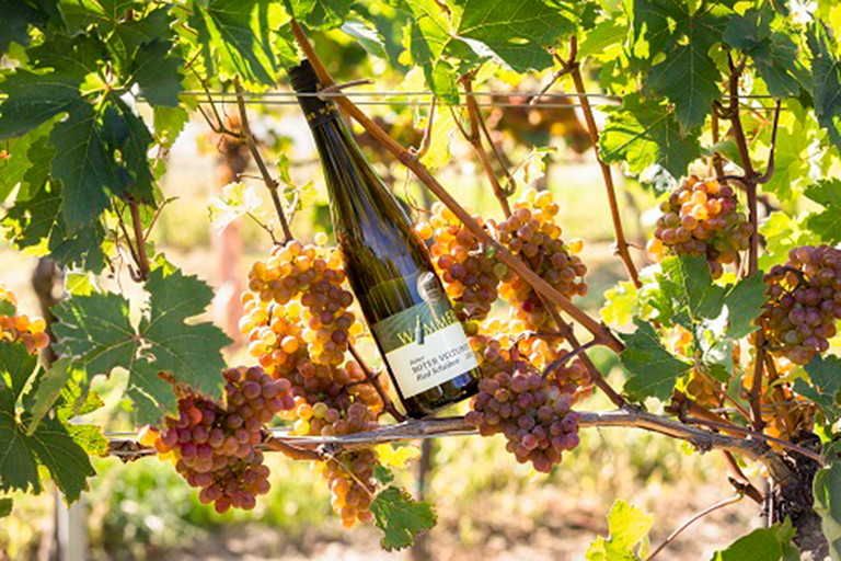 Roter Veltliner.