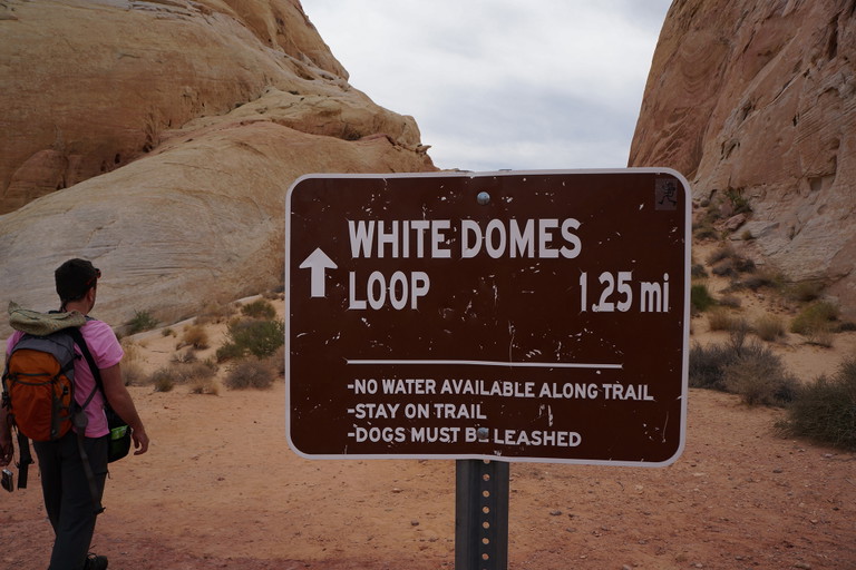 Hiker on the White Domes trail.