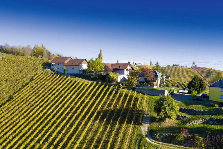 Das Familienweingut Oberer Germuth in Leutschach.