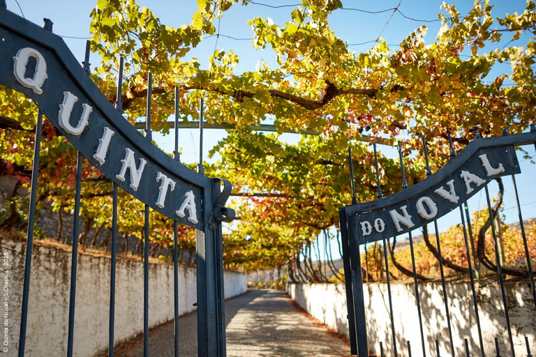 Die Quinta do Noval erzeugt mit dem »Nacional« den gesuchtesten&nbsp;Vintage Port, der aus Trauben von&nbsp;wurzelechten Reben stammt.