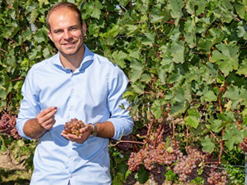 Jungwinzer Robert Wimmer in seinem natürlichen Habitat.