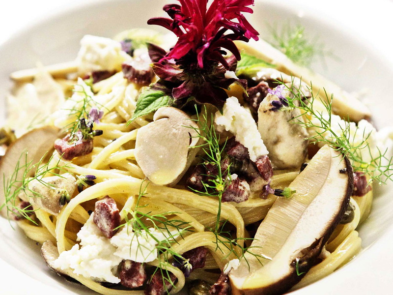 »Pasta e Funghi« sind während der Pilzssaison fast ein kulinarisches Muss.