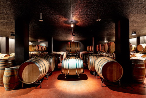Hier reift einer der besten Chardonnays der Schweiz: Keller des Weinguts Wegelin in Malans.