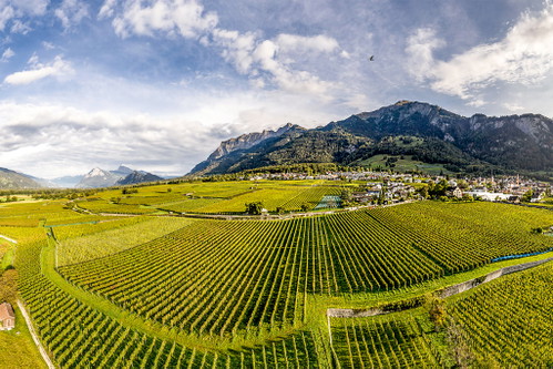 Der Einzellagen-Chardonnay Frassa des Malanser Weinguts Wegelin erreichte die höchste Punktzahl bei der Falstaff-Chardonnay-Trophy 2022.