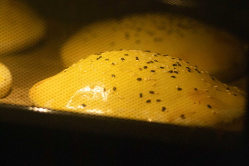 Bleche in den Ofen schieben und die Brote 15 bis 20 Minuten backen.