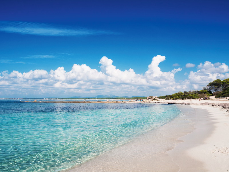 Die karibisch anmutende Playa es Trenc an der Südküste gehört zu den schönsten Stränden Mallorcas. Aus der Region stammt auch das gleichnamige Salz – ein beliebtes Mitbringsel.