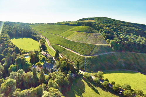 Weingut Maximin Grünhaus. Das Weingut der Familie von Schubert ist nicht nur eines der schönsten an der Ruwer, auch seine Rieslinge besitzen Legendenstatus.