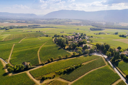 Die Weite des Genfer Umlands ist einzigartig – man wähnt sich hier in Frankreich. Im Bild die Domaine Les Perrières im Winzerdorf Satigny.