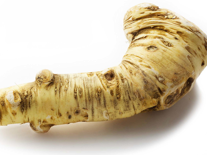 Perfekt für den inneren Frühlingsputz: Kren und Senf
