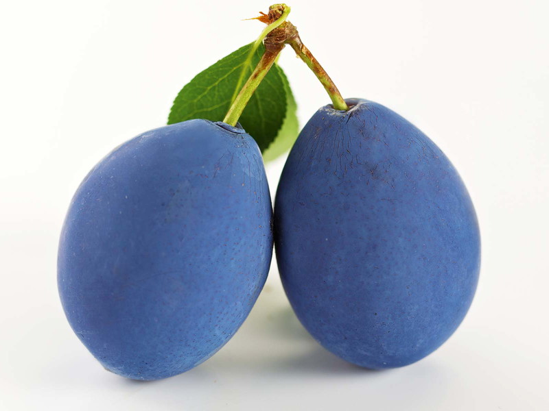 Zum Verkochen sollte man nicht allzureife Früchte nehmen.