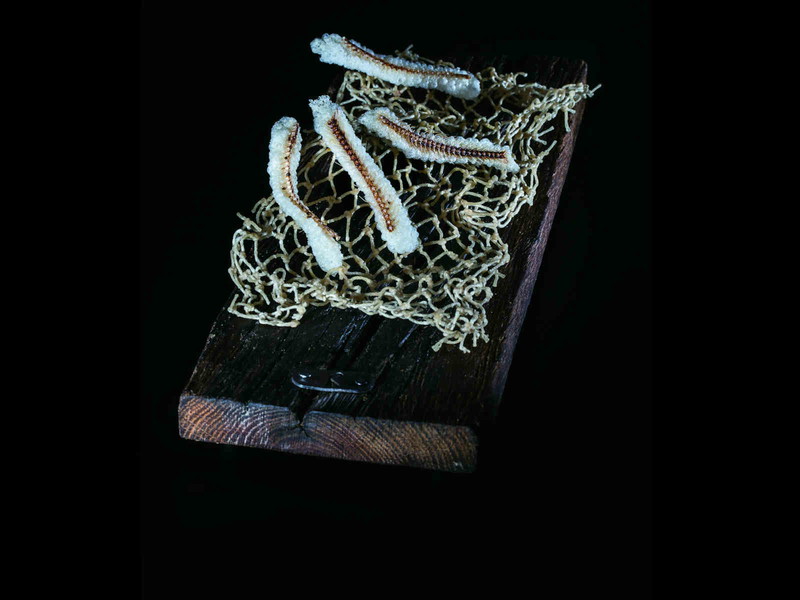 Optisch sehen die Anchovisgräten spektakulär aus.