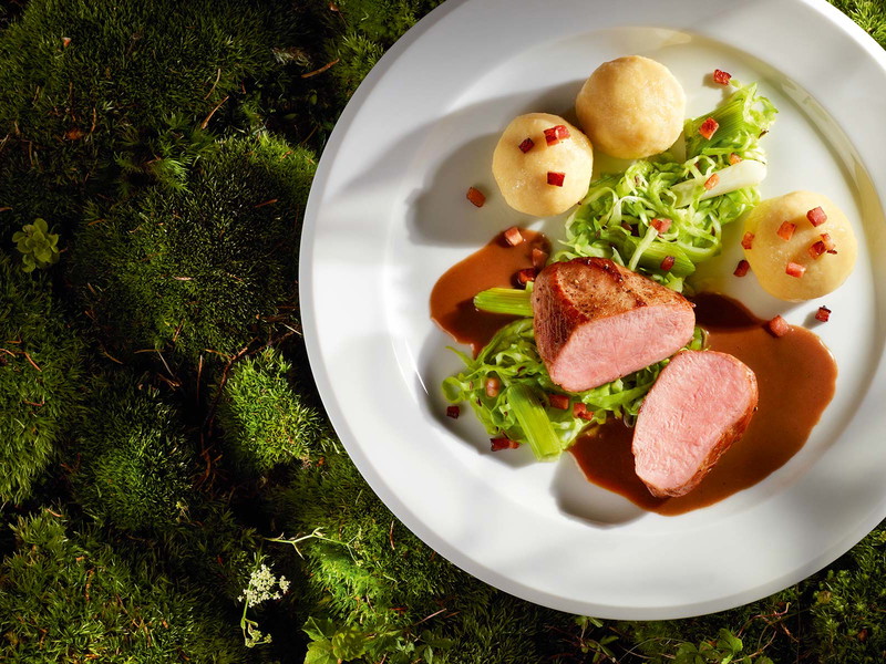 Wildschwein mit Kraut