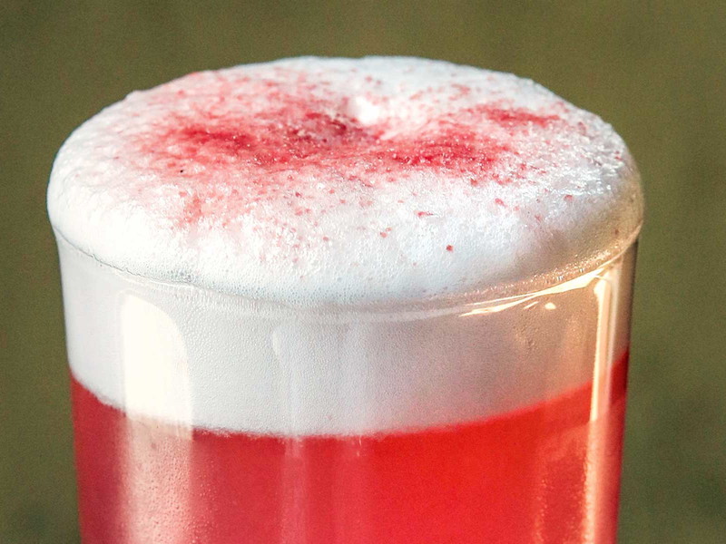 Erfrischender Sommerdrink mit Rhabarber-Gin und Mandarinengeist: Rhabarber Fizz.