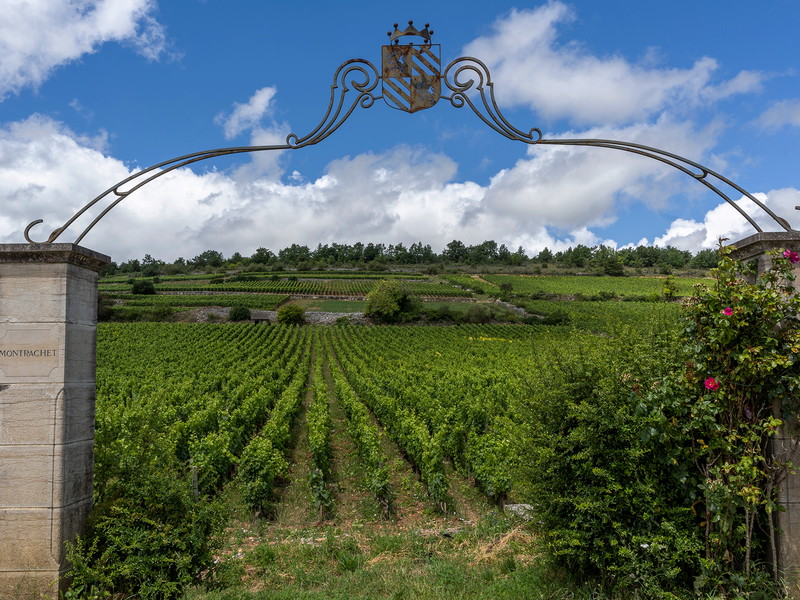 History and geography are important in Burgundy.