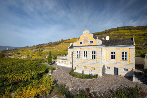 Die Domäne Wachau schreitet&nbsp;mit innovativem Geist und&nbsp;tollen Weinen am Bio-Weg voran.