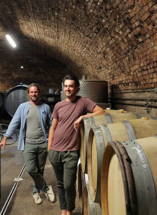 Weingut von der Vogelwaide: Daniel Vogelwaid und Michael Donabaum im Keller in Mitterarnsdorf.