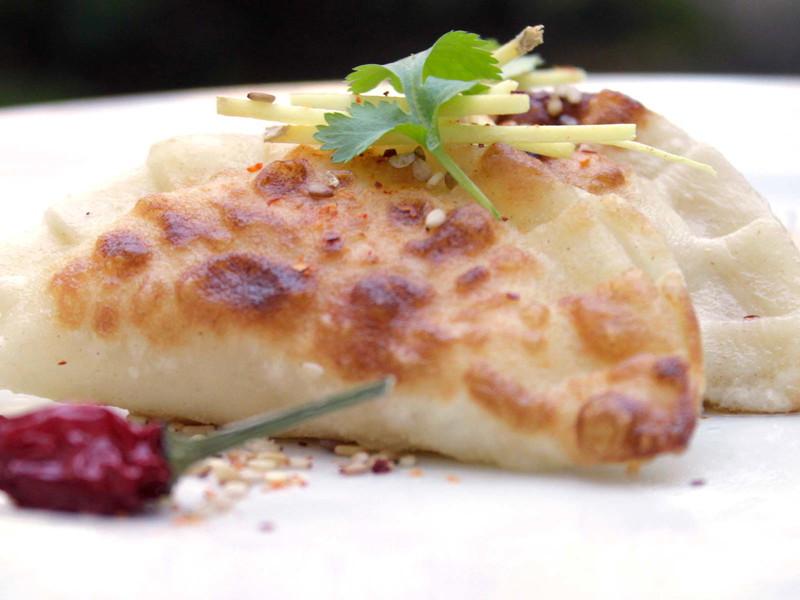 Japanische Gyoza