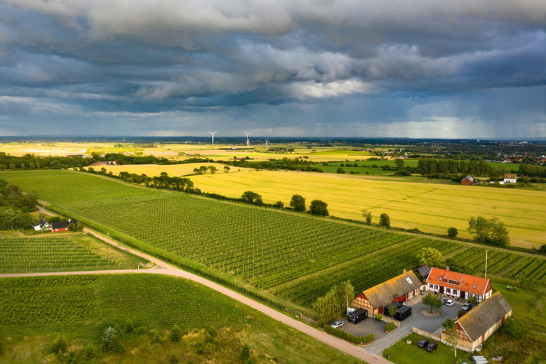 Beim schwedischen Weingut Kullabergs Vingard in Kullahalvön werden mittlerweile zehn Hektar mit pilzwiderstandsfähigen Reben bewirtschaftet.