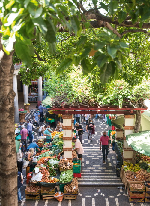 Appetitanregendes Schlendern über den »Mercado dos Lavradores« mit seinen fotogenen Auslagen.