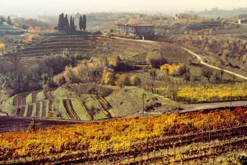 Brenner-Familie Nonino in Italien.