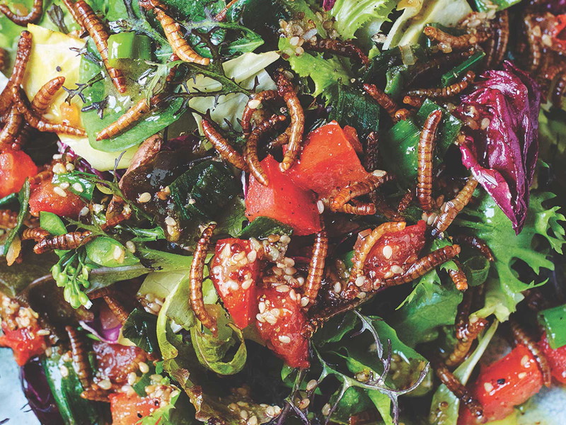 Salat an Sesam-Ingwer-Dressing
