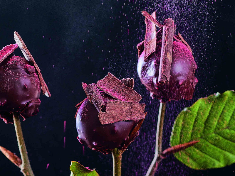 Der Klassiker nicht als Torte sondern als Cake Pop.