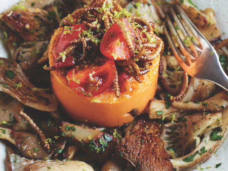 Die Mehlwurm-Limetten-Vinaigrette rundet das gesunde Gericht ab. 
