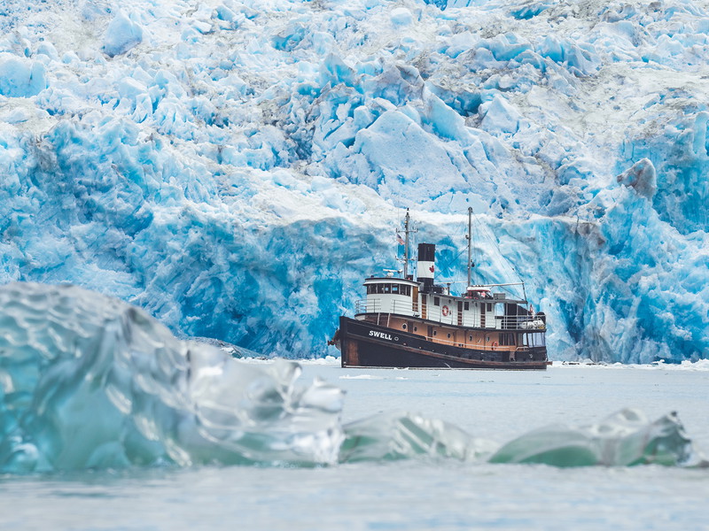 Tugboat Swell, Maple Leaf Adventures.