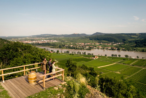 Die Loibenberg Lage am Weingut Gattinger.