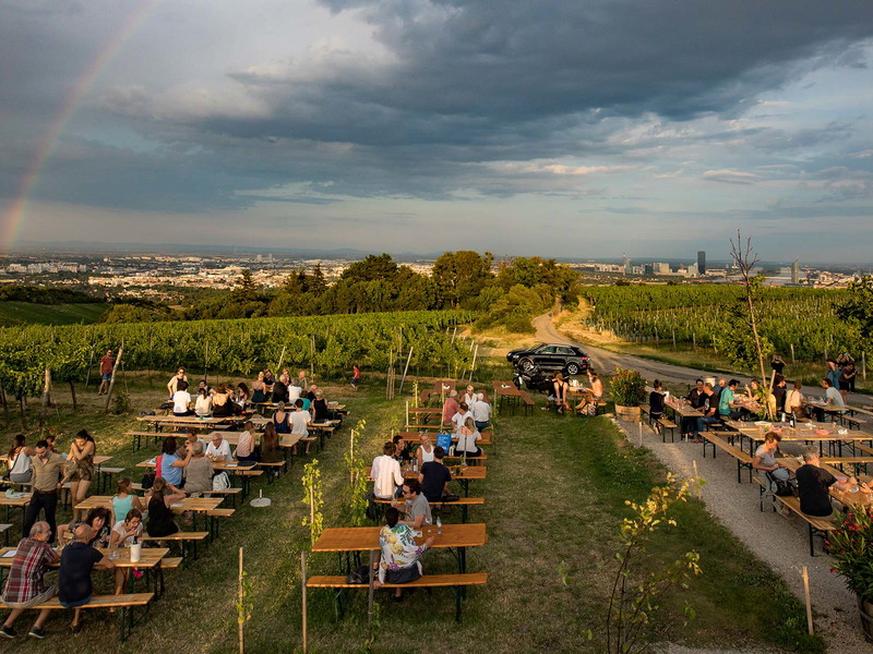 Die Buschenschank von Fritz Wieninger am Wiener Nußberg bietet einen tollen Blick auf die Donaumetropole.