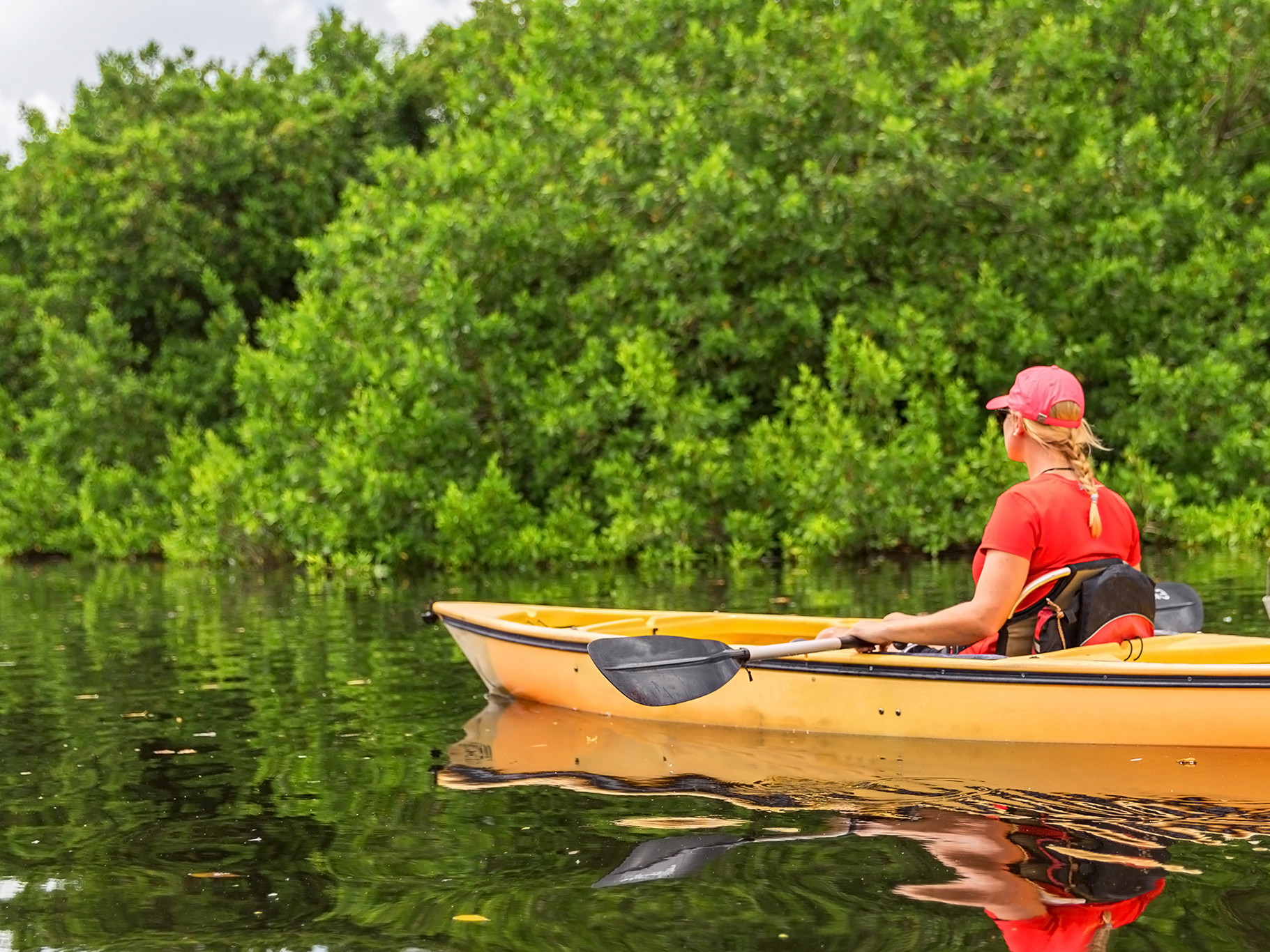 Everglades National Park, US.