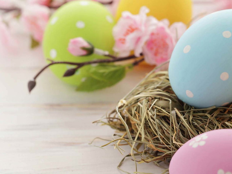Suchen Sie mit Falstaff jetzt jeden Tag ein Osternest!