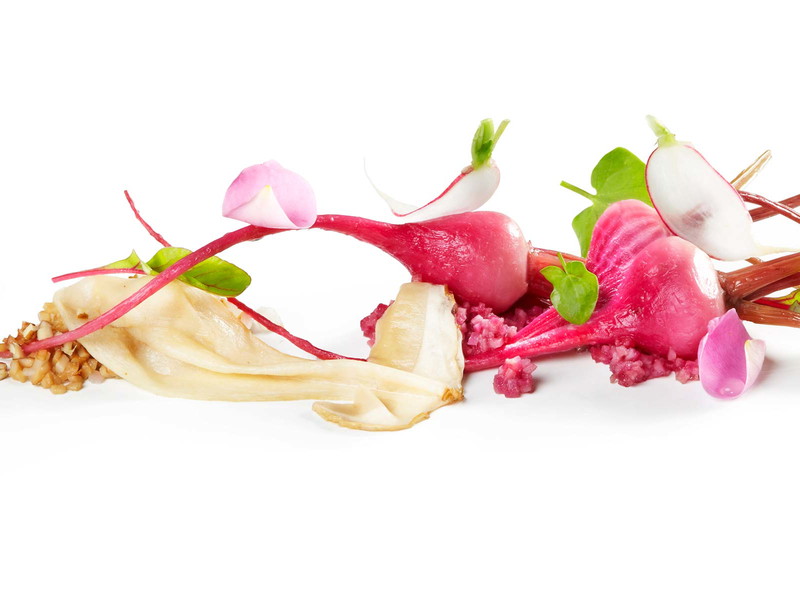 Ein Traum aus Rosen, passend zum Duft »Cerrutti 1881 pour homme«