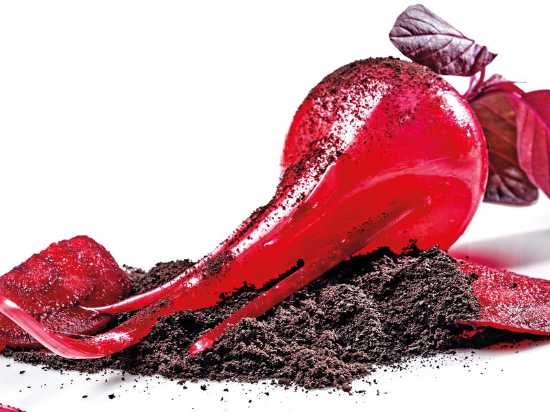 Ein Rezept der Roca-Brüder aus »El Celler de Can Roca« mit Destillat aus Erde.