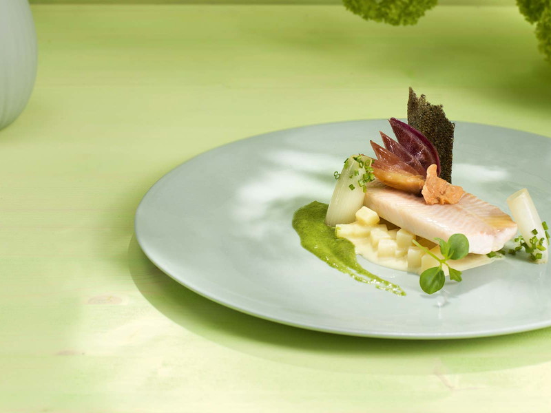 Seeforelle mit Erdäpfelrisotto, Zwiebelsalat und Grammeln