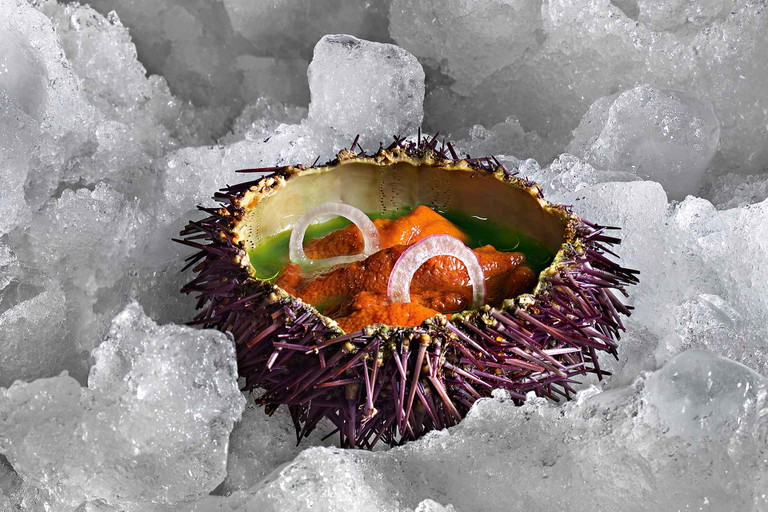 «Seeigel-Ceviche»