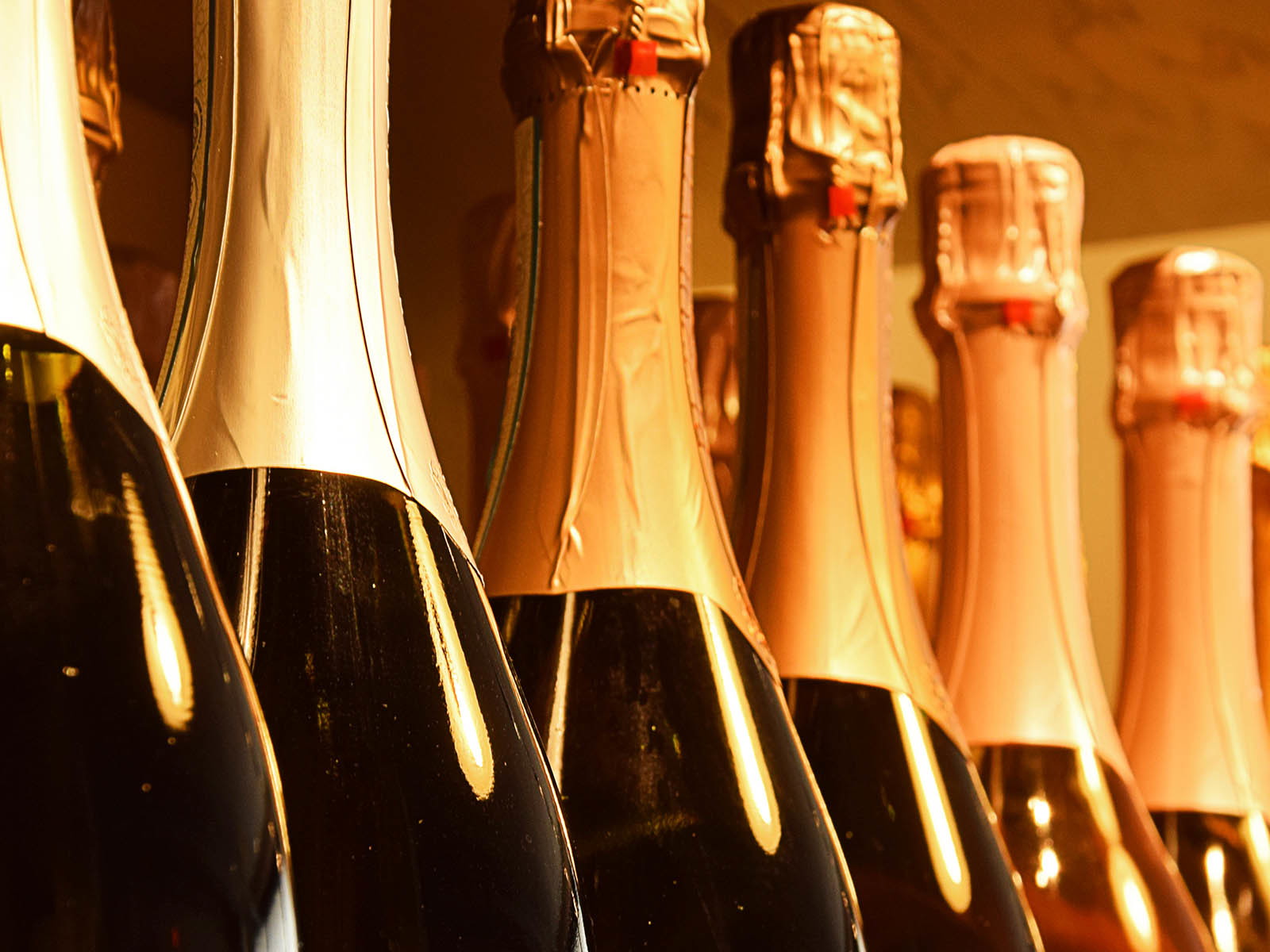 Champagner wird am besten im Keller gelagert.
