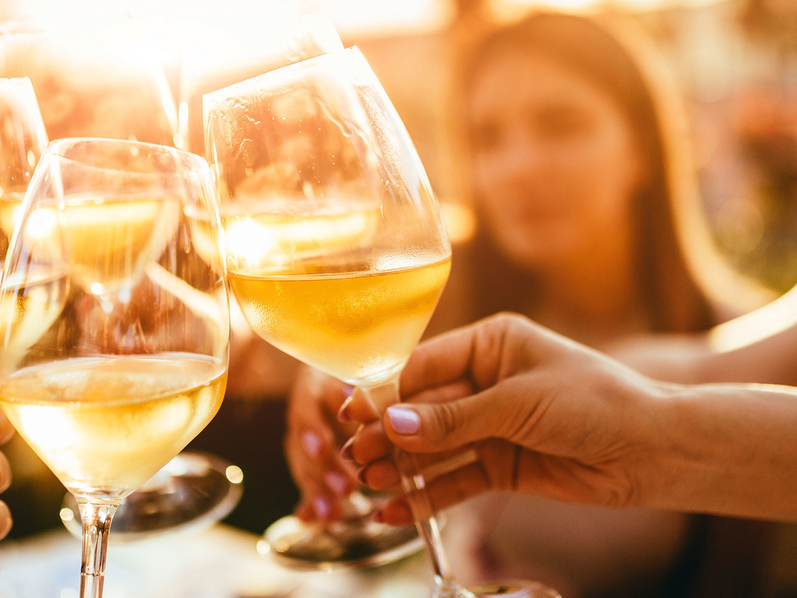 Weinfreunde schätzen an den burgenländischen Burgundern die Kombination aus Finesse, Eleganz&nbsp;und feiner Frucht.