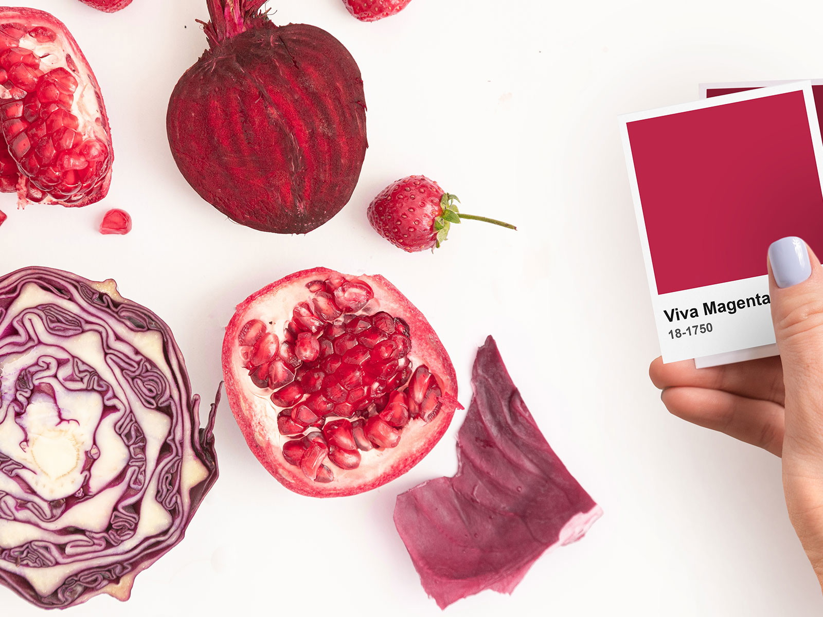Die »Pantone« Farbe des Jahres ist heuer »Viva Magenta«.