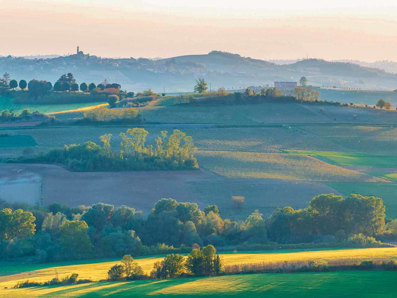 Die Hügellandschaft des Montferrat im Weinbaugebiet Piemont ist für seine Weine und Schaumweine weit über Italien hinaus bekannt. 