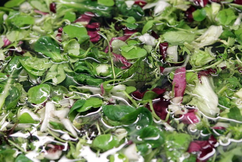 Wild Salad with Beetroot