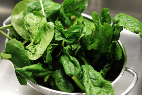 Pasta: Felicetti with Spinach and Speck