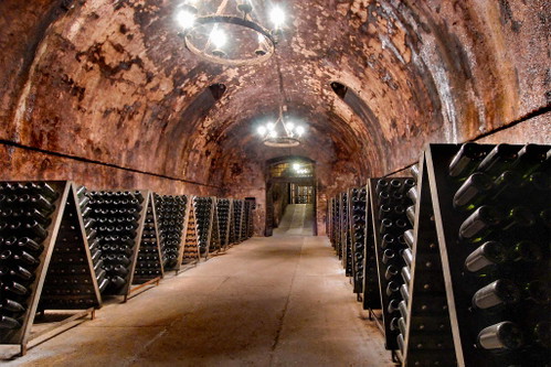 Die edlen Schaumweine aus dem Weinbaugebiet Franciacorta spielen längst in der ersten Liga und überzeugen Kenner.