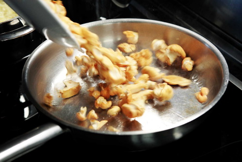 Mushroom Risotto