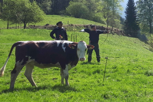 Einmal Robin Hood: Tim Mälzer beweist treffsicherheit im Schwarzwald.