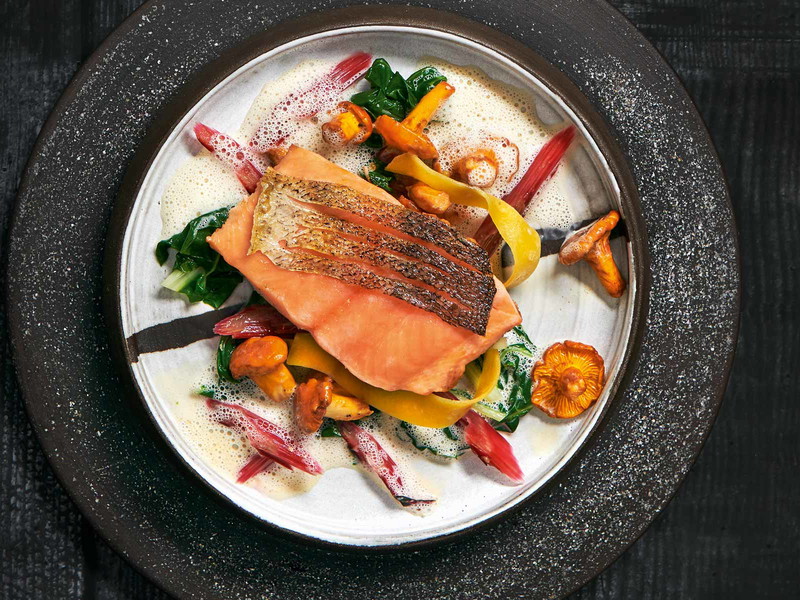Salmon Trout with Chard, Chanterelle Ragout and Pappardelle