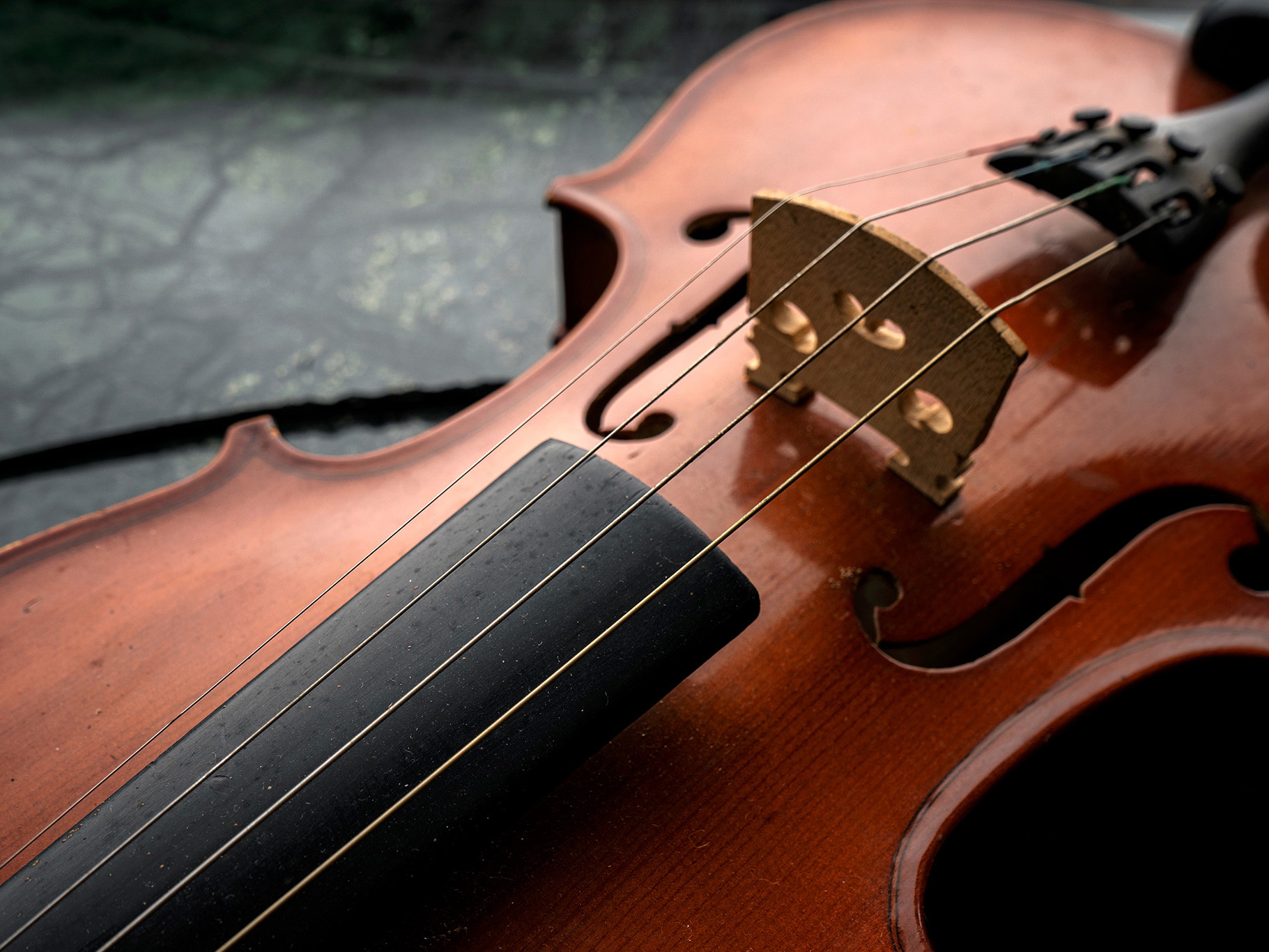 A priceless violon was not allowed on board.