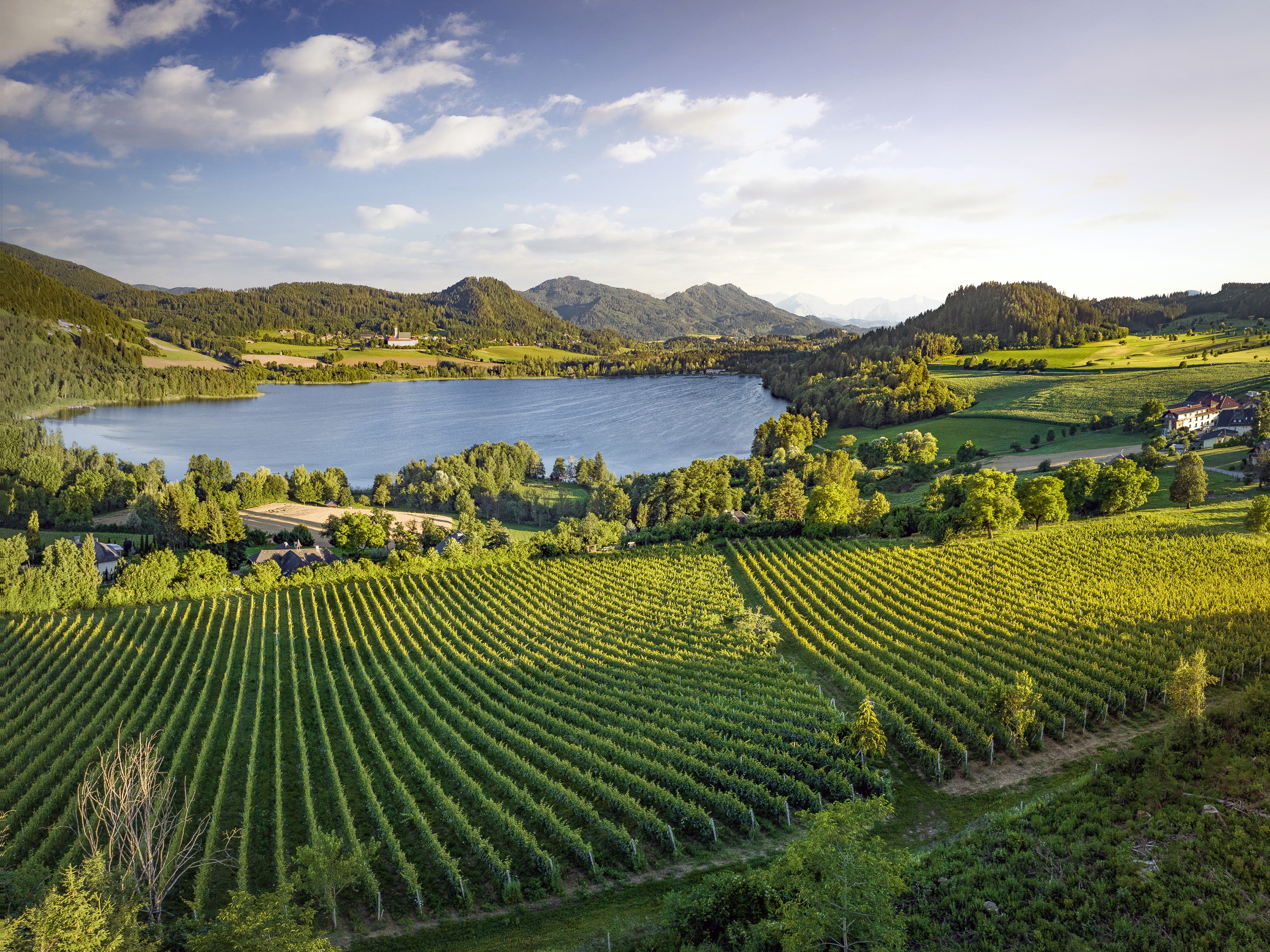 Weingarten am Längsee in Kärnten.